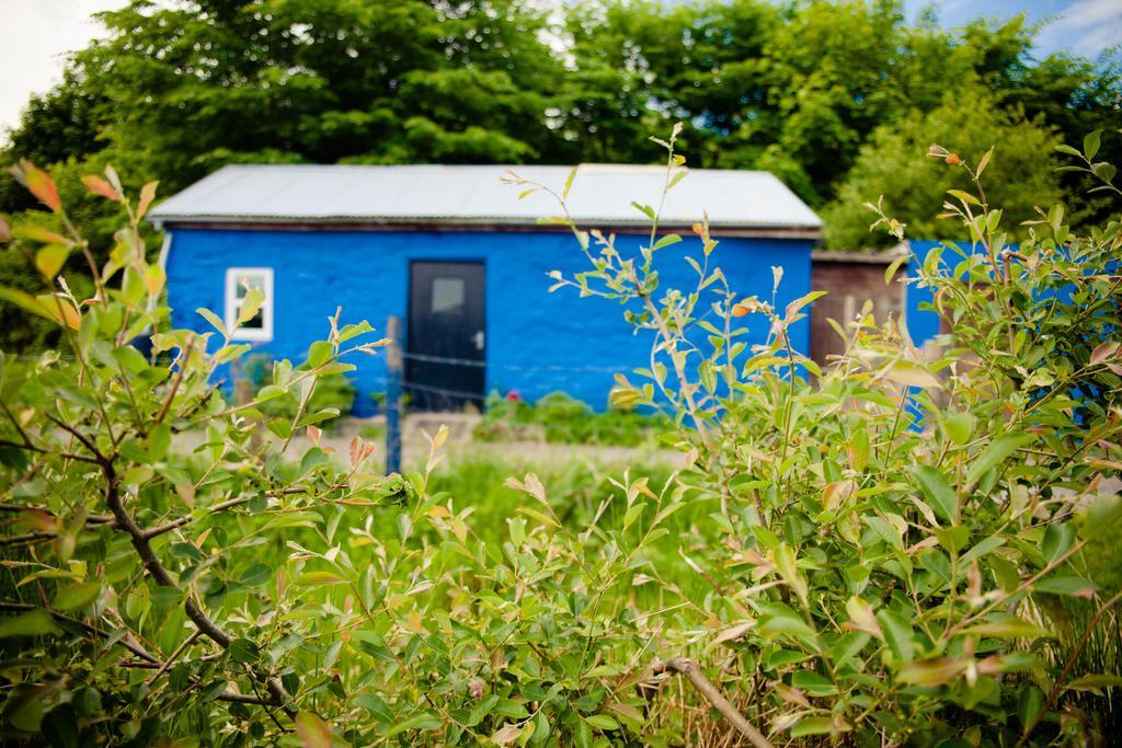 The Snowdon Inn - Y Fricsan Cwm-y-glo Habitación foto